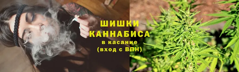 купить закладку  Лосино-Петровский  Бошки Шишки Amnesia 